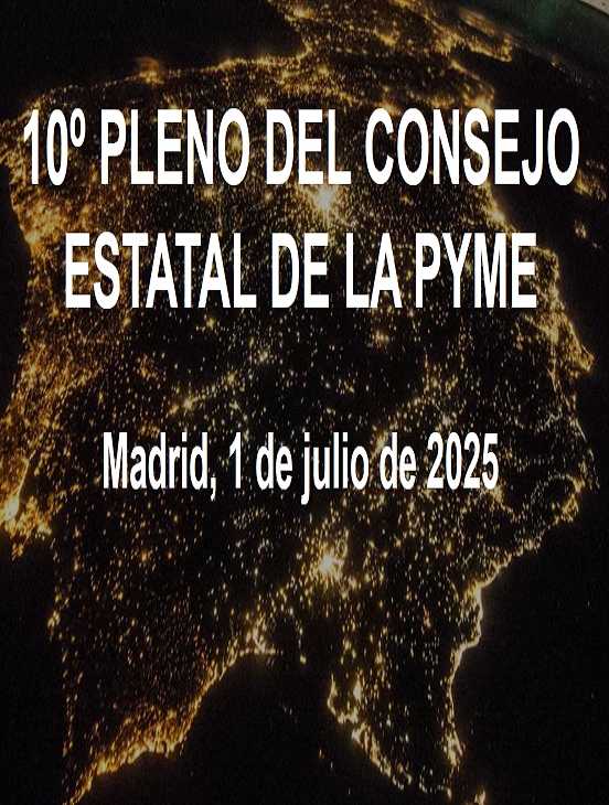 Décima reunión del Consejo Estatal de la Pyme
